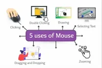 5 Uses of Mouse – Easy And Practical Guide For Beginners
