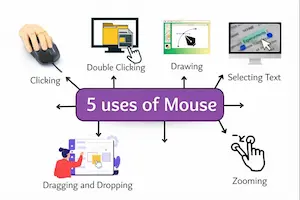 5 Uses of Mouse – Easy And Practical Guide For Beginners